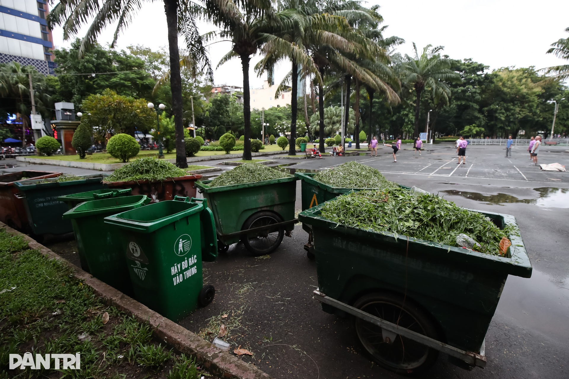 Cảnh nhếch nhác ở công viên giữa trung tâm TPHCM - 8 Cảnh nhếch nhác ở công viên giữa trung tâm TPHCM - 8