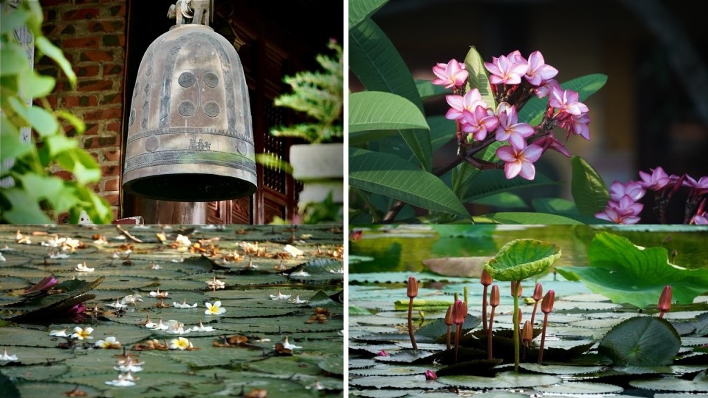 Nét bình dị nơi một trong 10 làng cổ đẹp nhất Việt Nam - 13 Nét bình dị nơi một trong 10 làng cổ đẹp nhất Việt Nam - 13