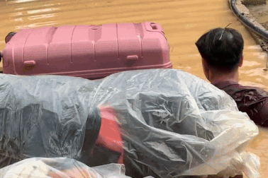 Bố ôm hành lý bơi vượt lũ sâu 2,5m đưa con gái kịp chuyến bay du học