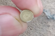 Cán bộ xã ở Bạc Liêu nghi bị bắn bằng súng