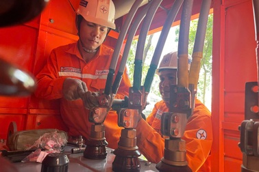 Nhiều giải pháp đảm bảo nguồn điện phát triển kinh tế TPHCM