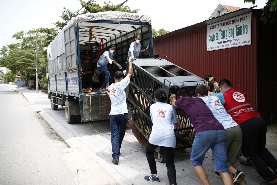 Cứu hộ thành công 2 cá thể gấu ngựa bị nuôi nhốt 20 năm - 4 Cứu hộ thành công 2 cá thể gấu ngựa bị nuôi nhốt 20 năm - 4