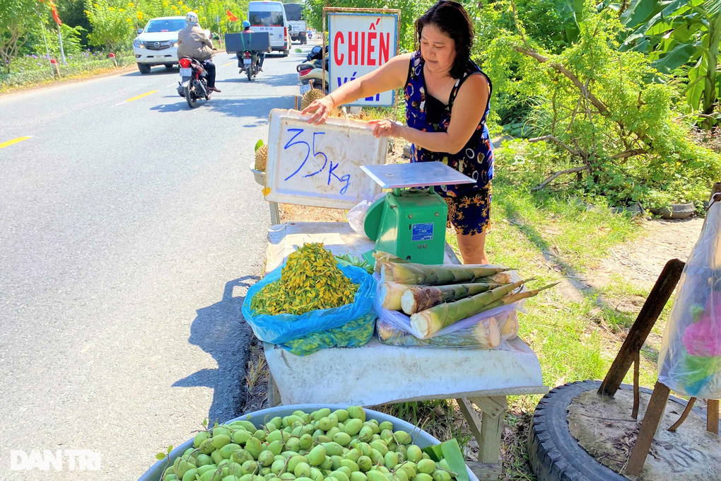 Soi đèn xuyên đêm gom bông điên điển mùa nước nổi - 7