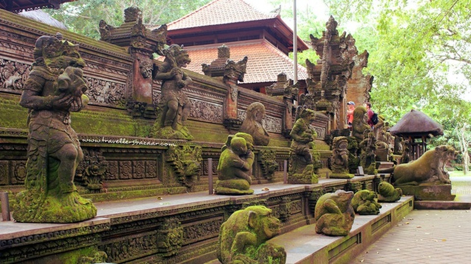 Ngượng đỏ mặt khi bị khỉ kéo khóa quần, “sàm sỡ” vòng 1 - 4 Ngượng đỏ mặt khi bị khỉ kéo khóa quần, “sàm sỡ” vòng 1 - 4