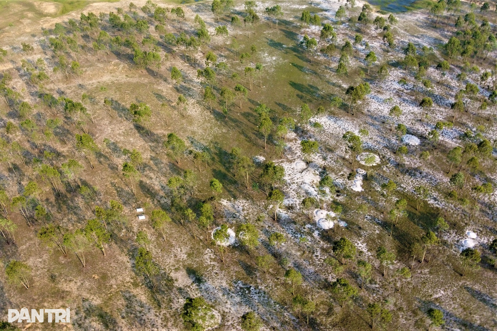 Di tích Quốc gia thành nơi chăn bò, nguy cơ bị xâm hại từ nạn tìm cổ vật - 2