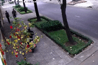 Clip “người nước ngoài bị cướp táo tợn tại Sài Gòn” khiến nhiều người phẫn nộ
