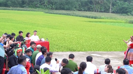 11 hộ nghèo vùng núi Đông Bắc được báo Dân trí xây nhà Nhân ái