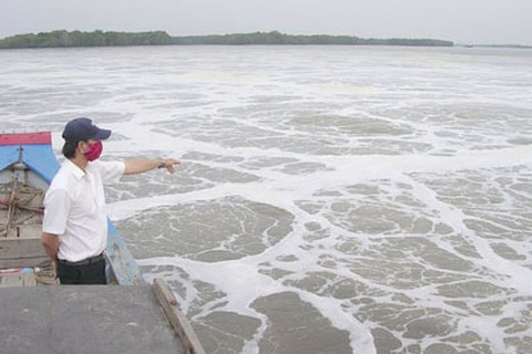 Vedan đã chấp nhận “đền” nông dân Đồng Nai 119,5 tỷ đồng