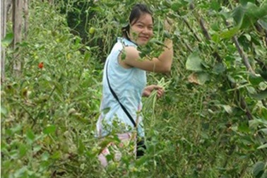 Khởi nghiệp từ rau sạch 