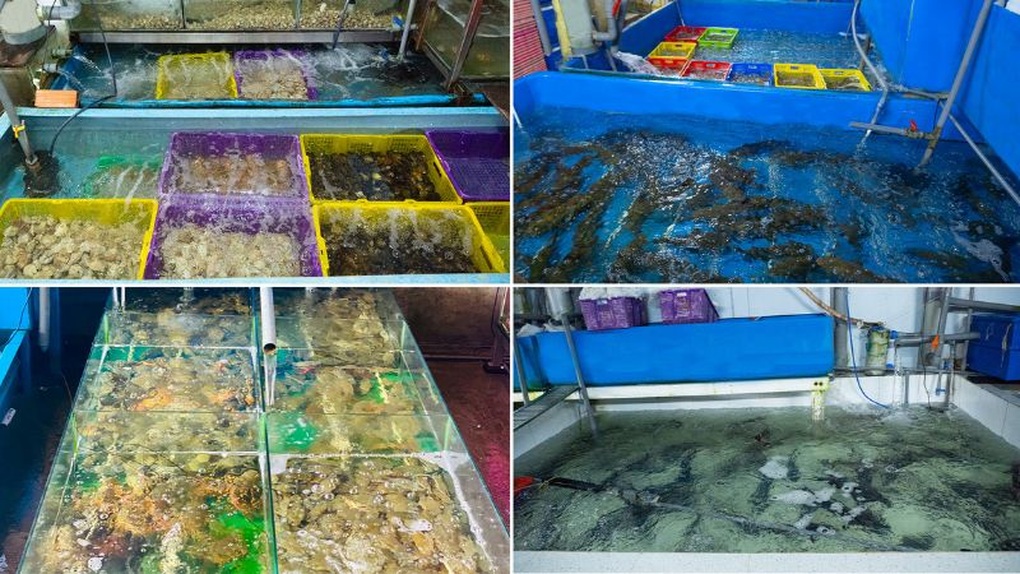 Hải sản Lộc: Hành trình hơn 15 năm khẳng định thương hiệu Việt - 2 Hải sản Lộc: Hành trình hơn 15 năm khẳng định thương hiệu Việt - 2