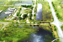 Vụ nợ 1.000 sổ đỏ: Khách lo lắng, đặt câu hỏi về văn bản của tỉnh