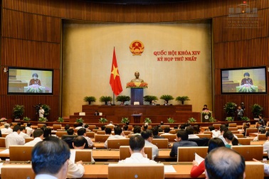 Phê chuẩn 34 cấp phó tại Hội đồng Dân tộc, các Ủy ban của Quốc hội