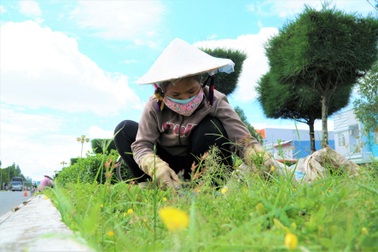 Công nhân "làm đẹp" đô thị: Mùa dịch có việc làm đã là may mắn