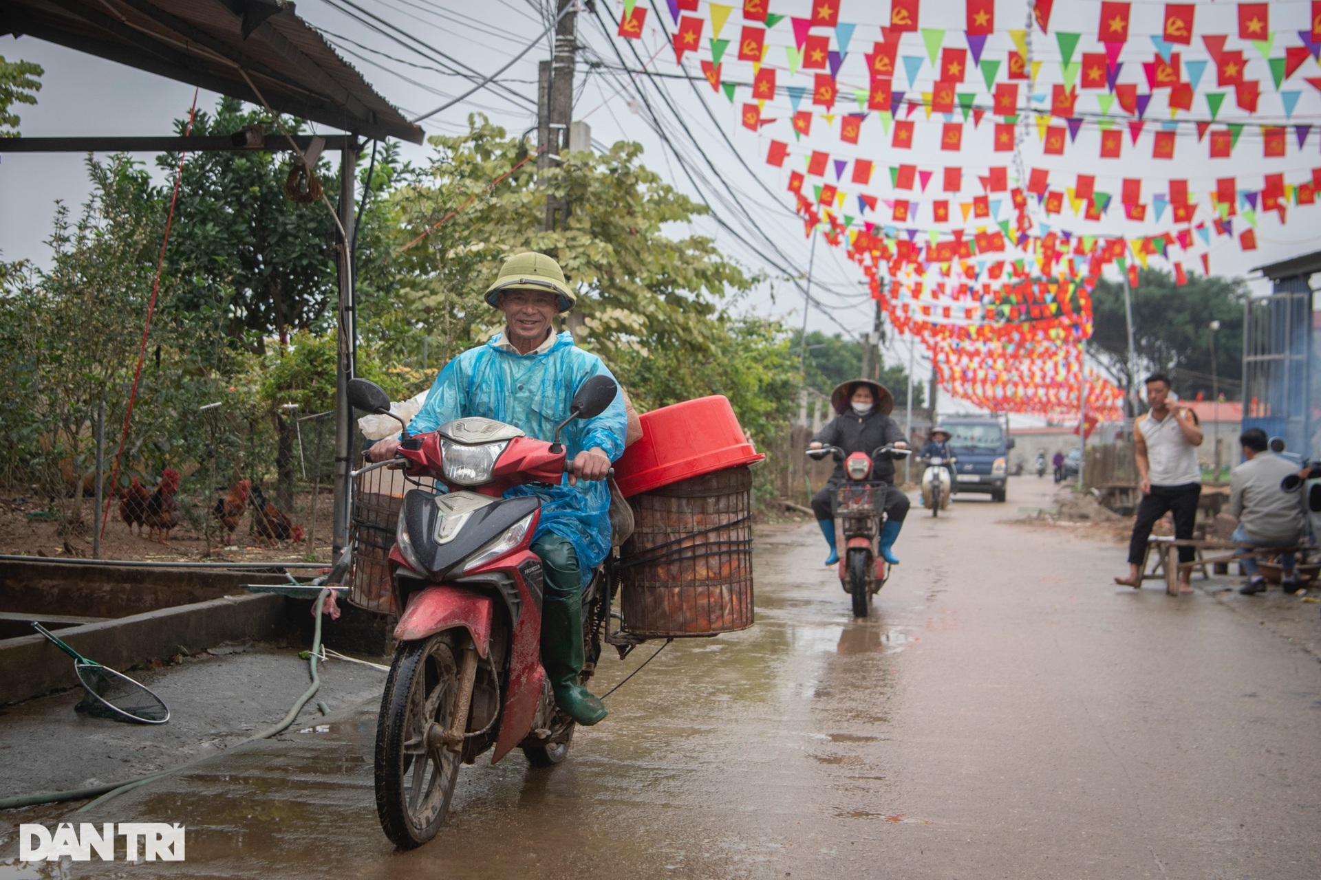 Lội bùn giăng lưới thu hoạch cá chép đỏ trước ngày ông Táo lên chầu trời - 12 Lội bùn giăng lưới thu hoạch cá chép đỏ trước ngày ông Táo lên chầu trời - 12