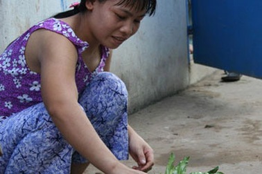 Vật vờ chờ qua Tết…