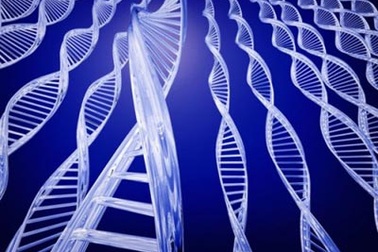 Nghiên cứu thành công bộ gen người Việt