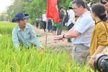 Nông dân ở Đồng Tháp trồng lúa kiểu mới, giảm phát thải gần 3.900 tấn CO2