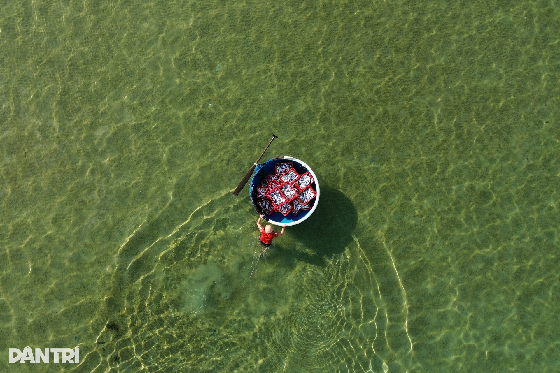 Chợ cá nơi nghĩa địa tàu cổ - 4 Chợ cá nơi nghĩa địa tàu cổ - 4