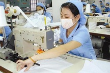 Thời gian làm việc bình thường của lao động thời vụ là 8 giờ