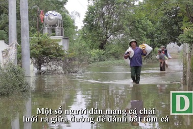 Dân Thủ đô nuôi lợn trong nhà, đánh cá giữa đường