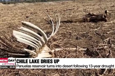 Hồ nước to tương đương với 38.000 bể bơi cạn trơ đáy, phủ đầy xương cá