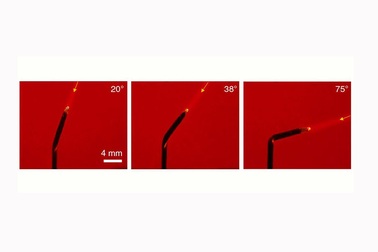 Hoa hướng dương nhân tạo có thể tự uốn cong hướng về phía ánh sáng