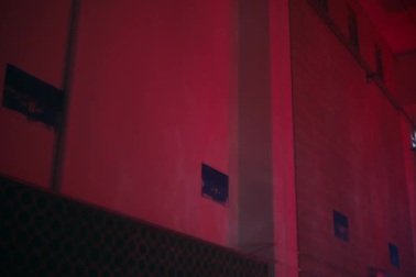 Selena Gomez - Wolves