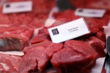 Nhiều nước cấm nhập khẩu thịt bò Canada do bệnh bò điên