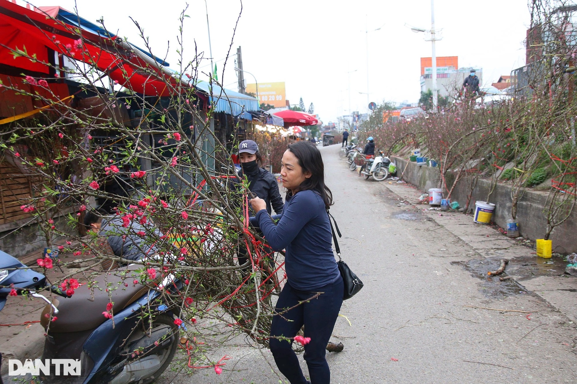 Đào cuối vụ ở Hà Nội đắt khách dịp rằm tháng Giêng - 9 Đào cuối vụ ở Hà Nội đắt khách dịp rằm tháng Giêng - 9