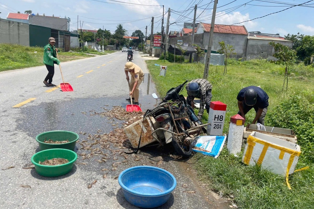 Cảnh sát giao thông giúp người dân thu gom tôm sau tai nạn - 1 Cảnh sát giao thông giúp người dân thu gom tôm sau tai nạn