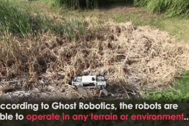 "Siêu khuyển robot" Mỹ phô diễn sức mạnh như "phim viễn tưởng"