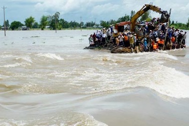 An Giang: Vỡ đê bao bảo vệ lúa