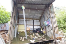 Chủ tịch Bạc Liêu yêu cầu truy rõ "thủ phạm" gây sạt lở bờ sông