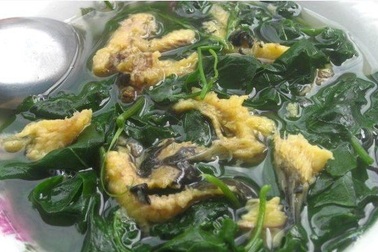 Rau mồng tơi - Món ngon, vị thuốc tốt ngày hè