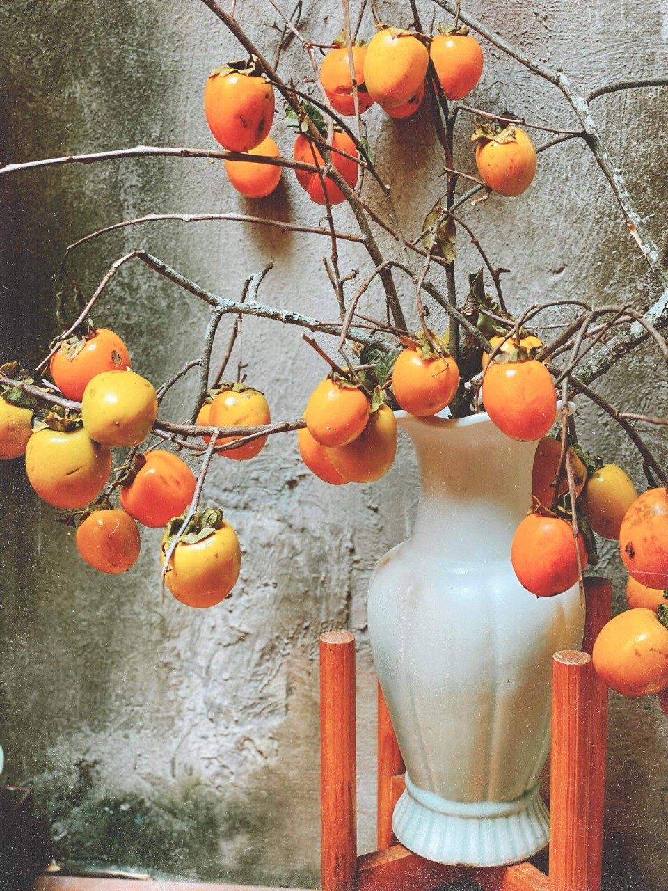 Rộ mốt săn cành hồng quả về cắm trang trí cận kề dịp Trung Thu - 3