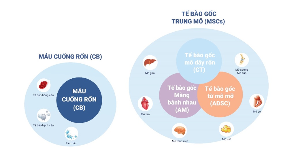 Thủ môn Bùi Tiến Dũng lưu trữ tế bào gốc cho quý tử đầu lòng - 2 Thủ môn Bùi Tiến Dũng lưu trữ tế bào gốc cho quý tử đầu lòng - 2