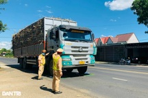 Xử lý loạt xe chở mía quá tải nghênh ngang chạy trên quốc lộ