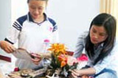 Cô nữ sinh Huế khởi nghiệp từ 20.000 đồng