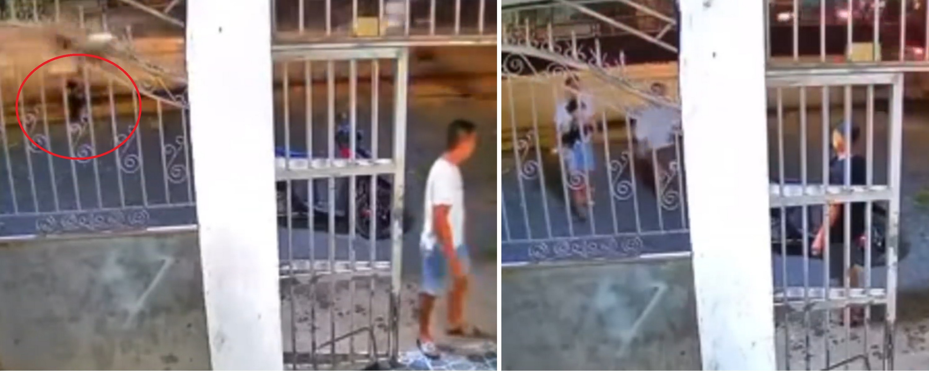 Clip “người lớn bất cẩn suýt khiến trẻ nhỏ gặp nguy hiểm” nổi bật tuần qua