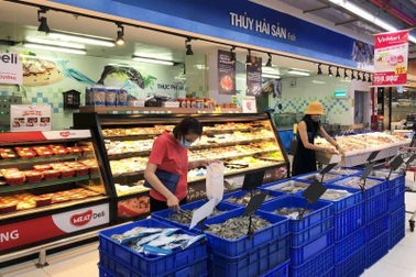 Chi tiết 2.833 điểm bán hàng hóa còn hoạt động tại TPHCM