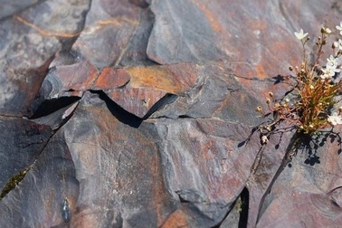 Trái đất có thể từng bị mất ôxy một cách bí ẩn 2 tỷ năm trước