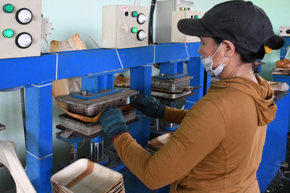 Kiếm hàng trăm triệu đồng từ mo cau tưởng bỏ đi - 4 Kiếm hàng trăm triệu đồng từ mo cau tưởng bỏ đi - 4