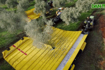 Nông dân "thảnh thơi" nhờ máy thu hoạch trái cây 300kg/giờ