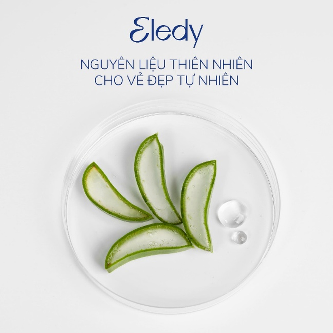 Hành trình đưa thương hiệu Dược mỹ phẩm Eledy tới những người phụ nữ Việt Nam - 1 Hành trình đưa thương hiệu Dược mỹ phẩm Eledy tới những người phụ nữ Việt Nam - 1