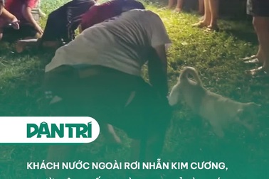 Khách nước ngoài rơi nhẫn kim cương, người dân Huế soi đèn vạch cỏ tìm giúp