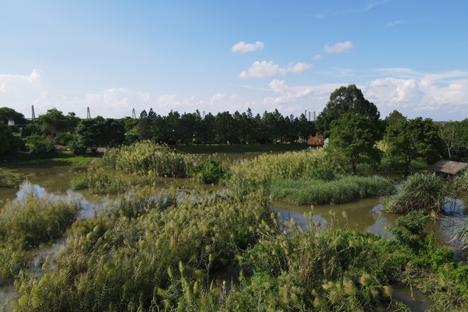 Cảnh hồ thủy điện xả lũ lớn, nước cuộn sóng nhấn chìm bãi giữa sông Hồng - 6 Cảnh hồ thủy điện xả lũ lớn, nước cuộn sóng nhấn chìm bãi giữa sông Hồng - 6