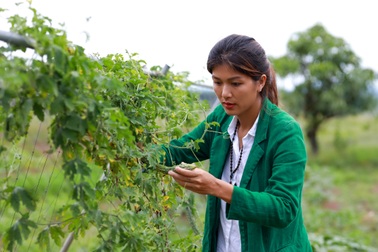 Hoa hậu 6 con "ngã đau" khi bỏ phố về vườn làm nông dân