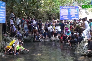 Du khách chen chân xem cá thần dịp nghỉ lễ 2/9
