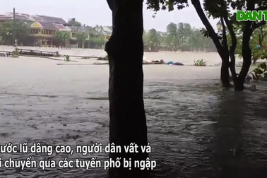 Người dân Hội An vất vả mưu sinh mùa mưa lũ