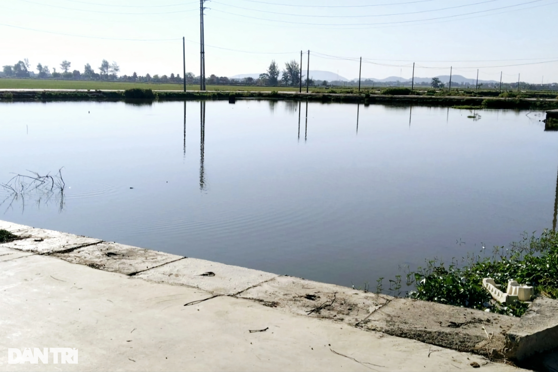 Cận cảnh khu vực em trai phó chủ tịch huyện trúng đấu giá 23 lô đất - 3